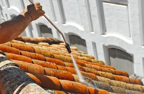 Démoussage de toiture à Vayres